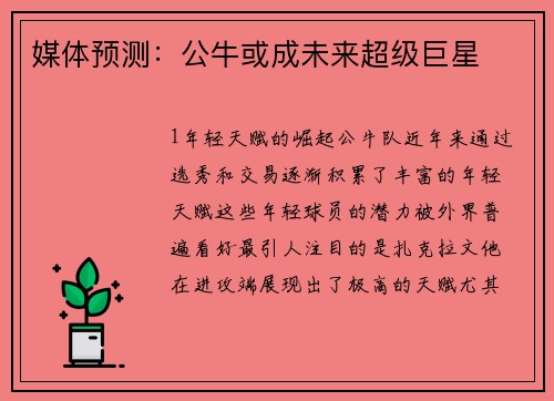 媒体预测：公牛或成未来超级巨星